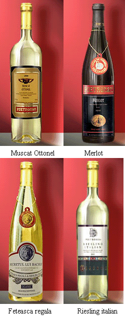 tipuri de vina