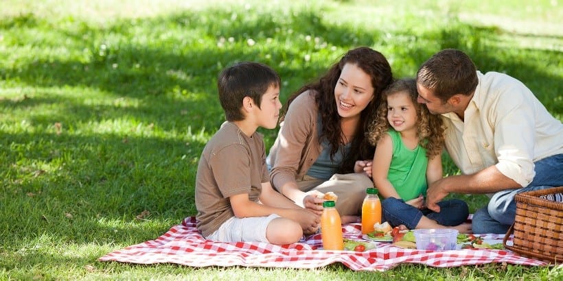 Ce sa avem la noi pentru un picnic reusit