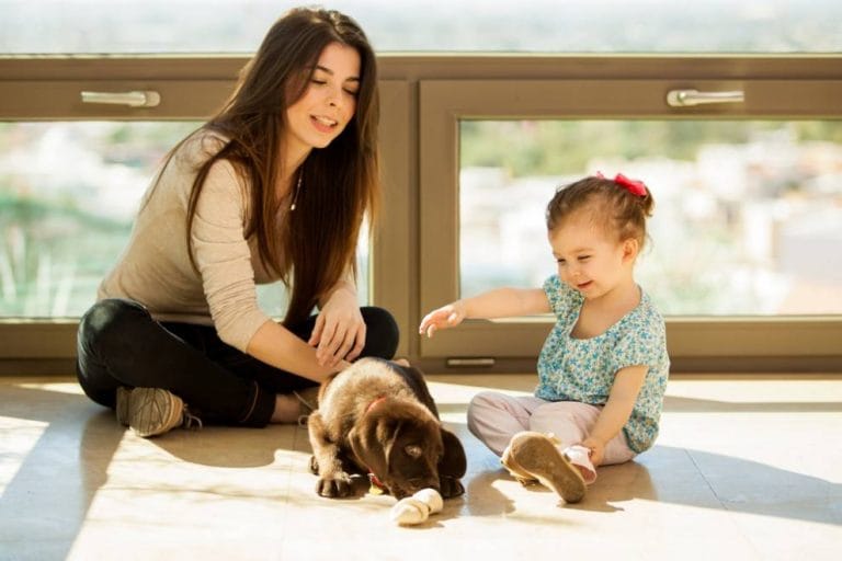 Cand sa ii iei copilului un animal de companie