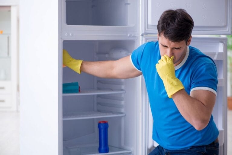 Cum poți scoate mirosurile neplăcute din frigider. Cele mai ieftine trucuri
