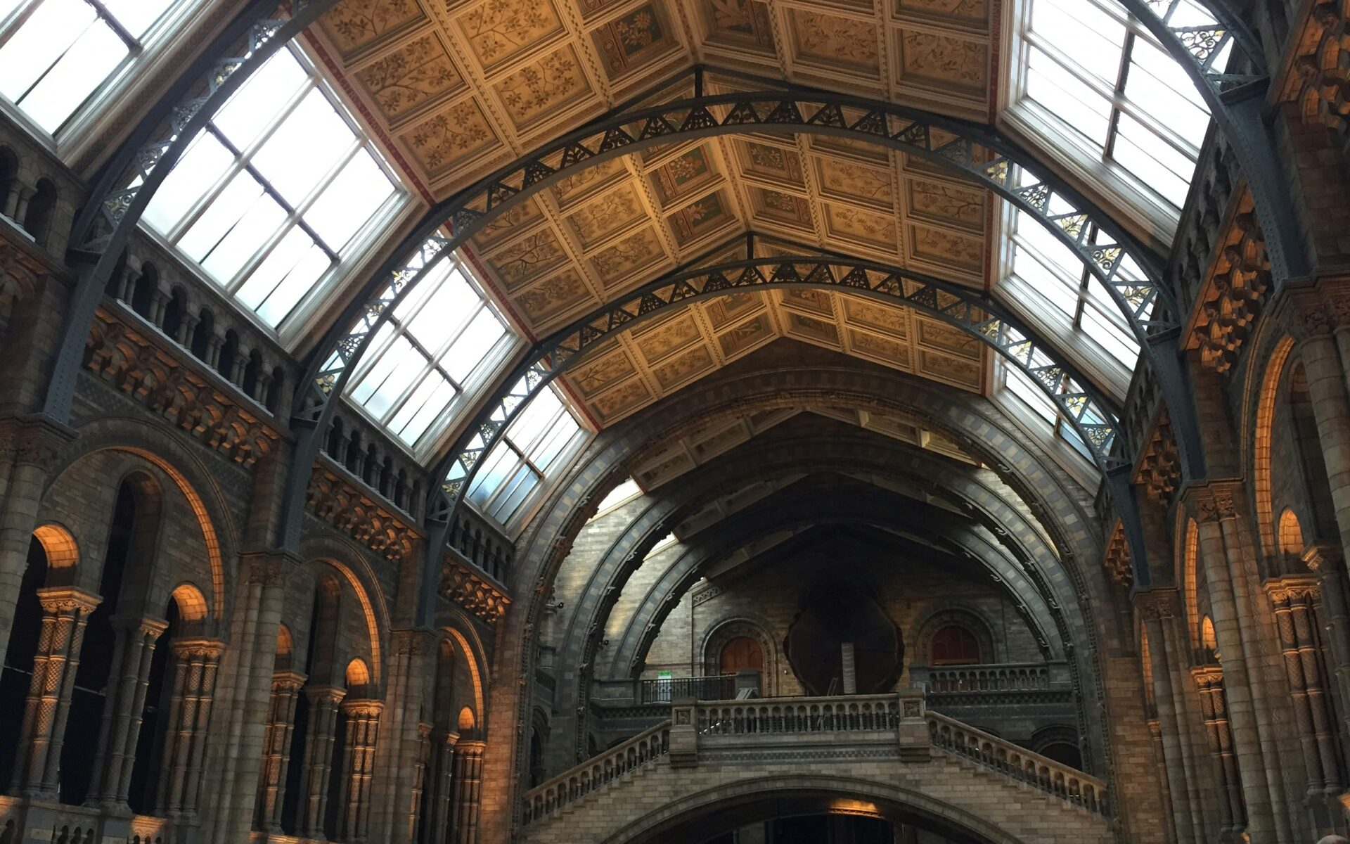 Primul hotel oficial inspirat de Harry Potter se deschide in Germania. Camere tematice, decoruri inspirate de Hogwarts si o experienta imersiva pentru fanii universului magic.